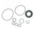 8760 by PLEWS - PS Repair Kit