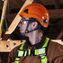 20903 by JACKSON SAFETY - CH-300 Industrial Climbing Non-Vented Hard Hat Orange