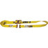 48672-13 by ANCRA - Ratchet Tie Down Strap - 2 in. x 144 in., Yellow, Polyester, with Spring load E Fittings
