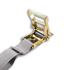 48672-14 by ANCRA - Ratchet Tie Down Strap - 2 in. x 192 in., Gray, Polyester, with Spring load E Fittings