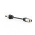 HO-8562 by TRAKMOTIVE - AAR CV Axle Shaft
