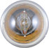 89LLB2 by PHILIPS AUTOMOTIVE LIGHTING - Philips LongerLife Miniature 89LL