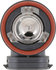 H11XVB1 by PHILIPS AUTOMOTIVE LIGHTING - Philips X-tremeVision Headlight H11