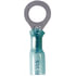 Phillips Industries 1-1925 Male Disconnect Terminal Ring Terminal - 16-14 ga., Blue, 5/16" Stud, 25 Pieces, Heat Required