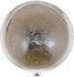 12814B2 by PHILLIPS INDUSTRIES - Multi-Purpose Light Bulb - 12V, 10 Watts, Standard, Clear, Incandescent