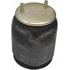 452-9780L by DORMAN - AIR SPRING;RLOB/P