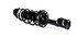 G57541 by GABRIEL - Fully Loaded Strut Assembly