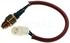 Standard Ignition TS248 Engine Cooling Fan Switch Coolant Fan Switch