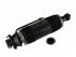 SK-2419 by ARNOTT INDUSTRIES - Suspension Strut Assembly for MERCEDES BENZ