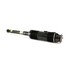 SK 2461 by ARNOTT INDUSTRIES - Suspension Strut Assembly for MERCEDES BENZ