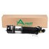 AS-2824 by ARNOTT INDUSTRIES - Air Strut Remanufactured Rear Left BMW