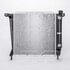 TYC 1062 Radiator Radiator Assembly