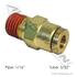 177.13B68251 by AUTOMANN - Brass PLC Male Connector, 5/32 x 1/16 in.