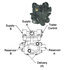 RT4 by HALDEX - Air Brake Chamber - Release Tool Assembly Kit