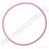 PAI 631300 Engine Camshaft Thrust Plate Seal SEAL