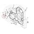 PAI 121346 Multi-Purpose Seal SEAL