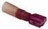 TRFI-ST by TECTRAN - Female Terminal - Red, 22-18 Wire Gauge, Insulated, Heat Shrink, Quick Disconnect