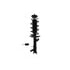 FCS Struts 1333831R Suspension Strut and Coil Spring Assembly Suspension Strut and Coil Spring Assembly