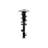 1334079R by FCS STRUTS - Suspension Strut and Coil Spring Assembly