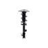 1334079L by FCS STRUTS - Suspension Strut and Coil Spring Assembly