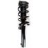 1335576 by FCS STRUTS - Suspension Strut and Coil Spring Assembly