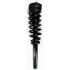 1335790 by FCS STRUTS - Suspension Strut and Coil Spring Assembly