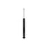 346456 by FCS STRUTS - Shock Absorber