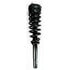 4335790 by FCS STRUTS - Suspension Strut and Coil Spring Assembly