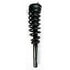 5335790 by FCS STRUTS - Suspension Strut and Coil Spring Assembly