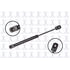 FCS Struts 84060 84060