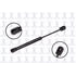 FCS Struts 84061 84061