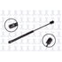 FCS Struts 84125 84125
