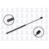 84185 by FCS STRUTS - Back Glass Lift Support