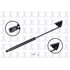 84213 by FCS STRUTS - Hood Lift Support