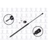 FCS Struts 84309 Liftgate Lift Support Liftgate Lift Support