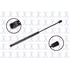 84331 by FCS STRUTS - Liftgate Lift Support