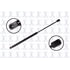 84356 by FCS STRUTS - Back Glass Lift Support