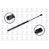 84369 by FCS STRUTS - Back Glass Lift Support