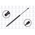 FCS Struts 84370 Liftgate Lift Support Liftgate Lift Support