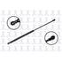 84374 by FCS STRUTS - Trunk Lid Lift Support