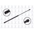 84379 by FCS STRUTS - Hood Lift Support