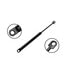 84421 by FCS STRUTS - Hood Lift Support