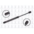 FCS Struts 84488 84488