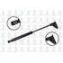 84523R by FCS STRUTS - Hood Lift Support