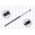 84561 by FCS STRUTS - Liftgate Lift Support