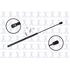 84638 by FCS STRUTS - Liftgate Lift Support
