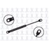 FCS Struts 84671 84671