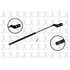 84842 by FCS STRUTS - Liftgate Lift Support