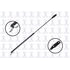 84930 by FCS STRUTS - Liftgate Lift Support