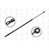 FCS Struts 84954 Liftgate Lift Support Liftgate Lift Support